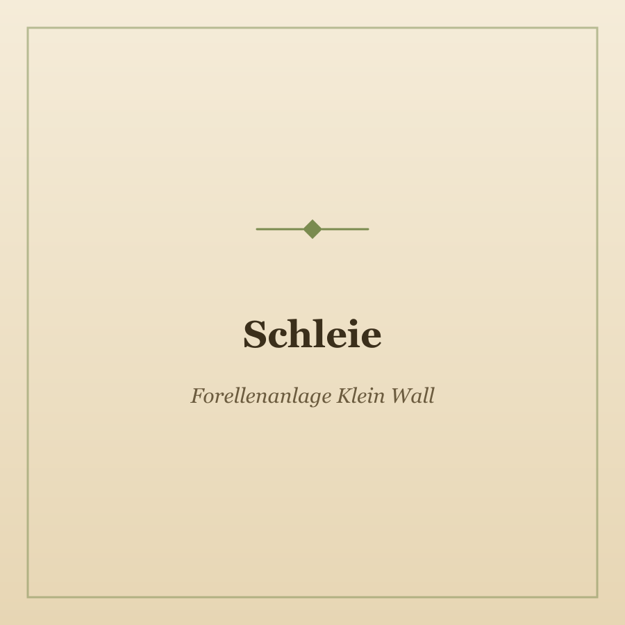 Schleie