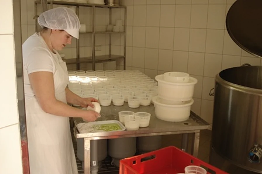 Der Töplitzer Weißschimmel, Hofkäserei Hennig