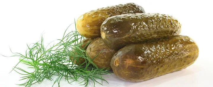 Hofbild von Gurkeneinlegerei Nissel