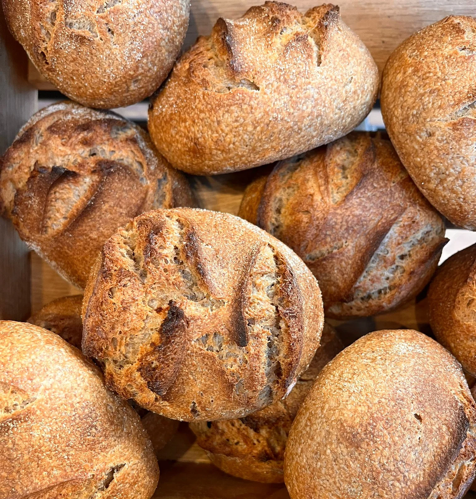 Dinkelbrötchen