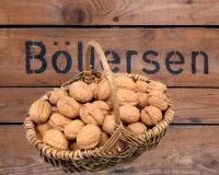 Garten-Walnüsse aus Deutschland