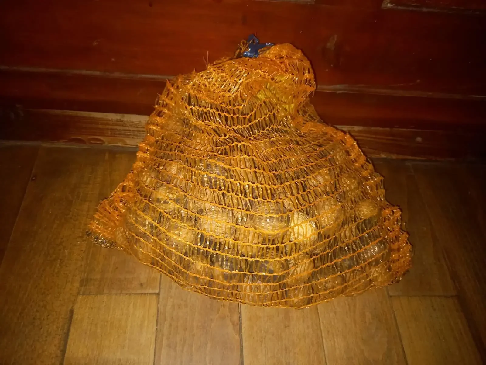 Walnüsse mit Schale