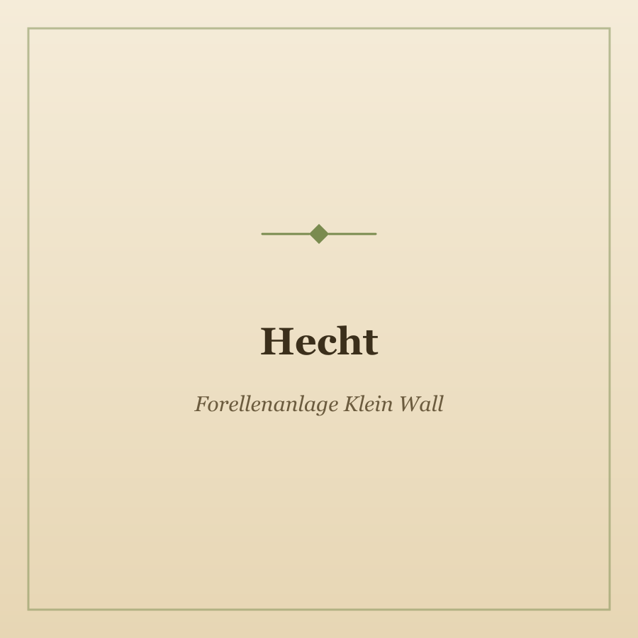 Hecht