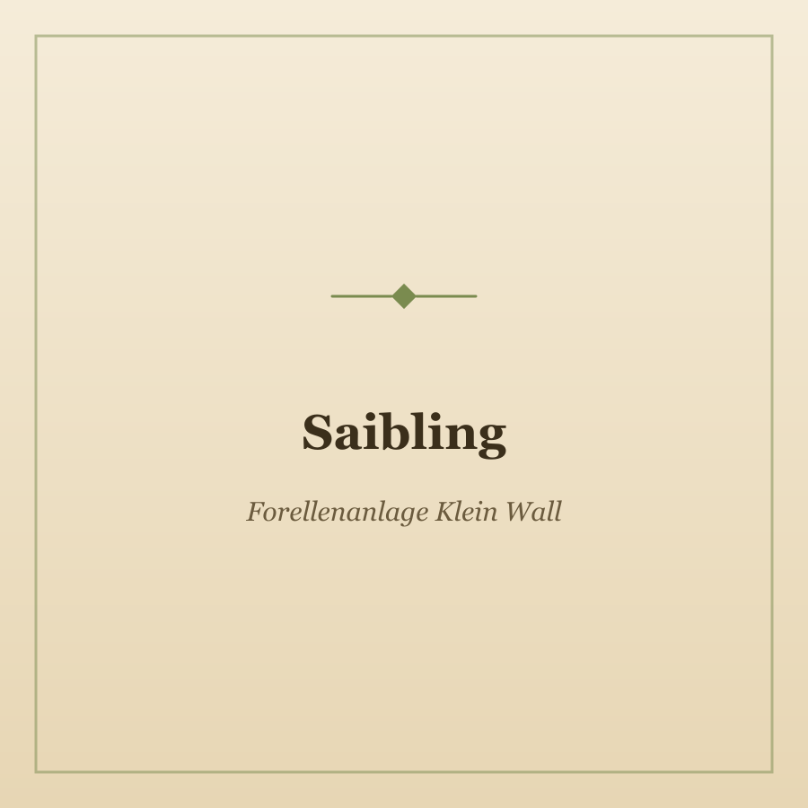 Saibling von Forellenanlage Klein Wall, Foto 1