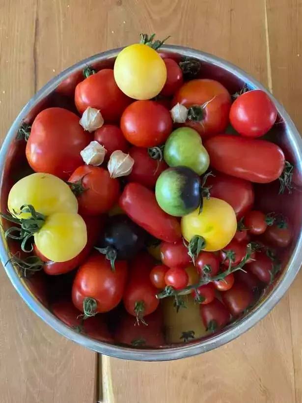 Bio-Gemüsekorb von Gut Fernewerder, Foto 2
